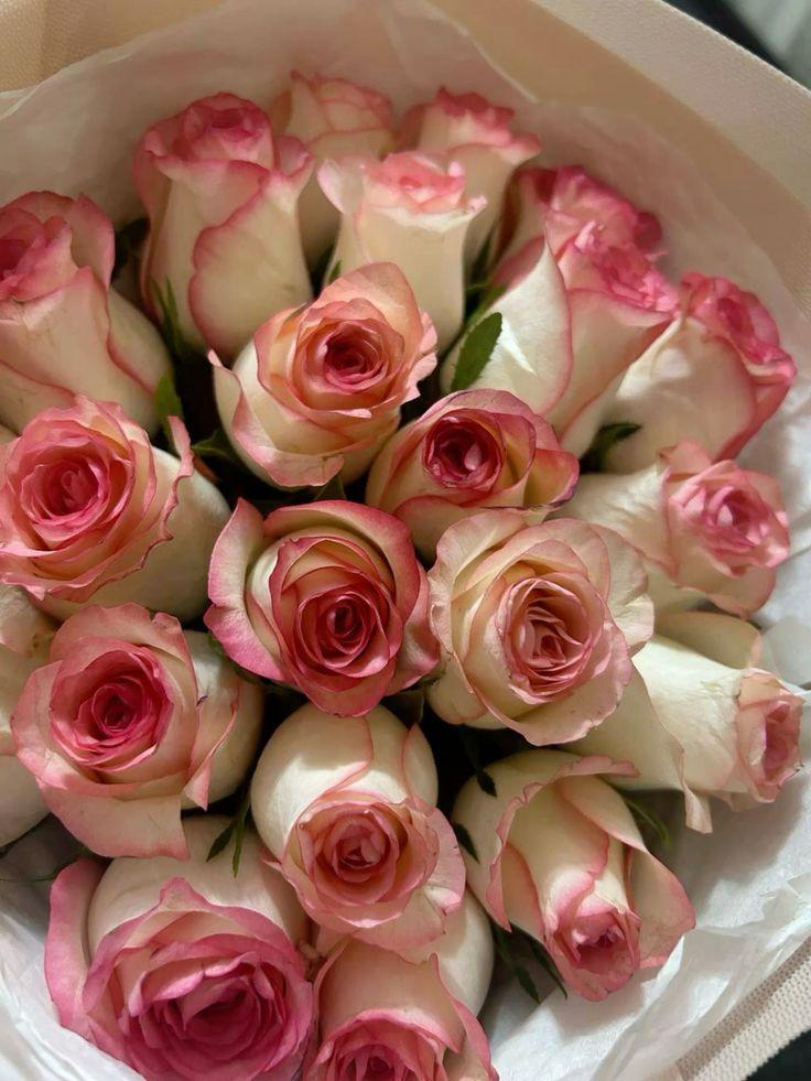 Celestial Grace Harmony Chic Flower Collection